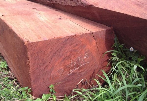 Khả năng chịu nước là ưu điểm nổi bật của gỗ