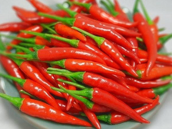 Diệt mối bằng ớt tươi