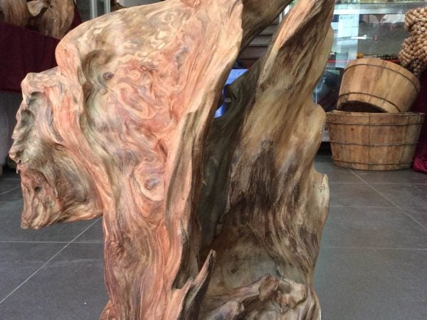 Gỗ ngọc am được xếp vào hàng gỗ quý hiếm