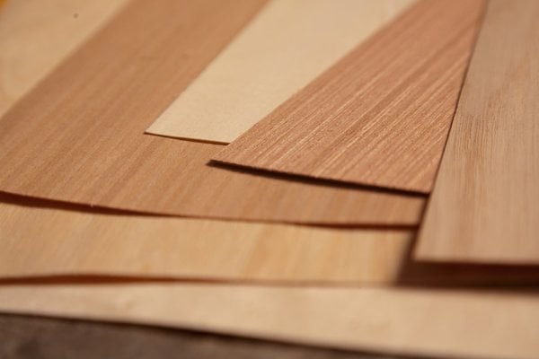 Gỗ veneer có khả năng chống cong vênh và mối mọt
