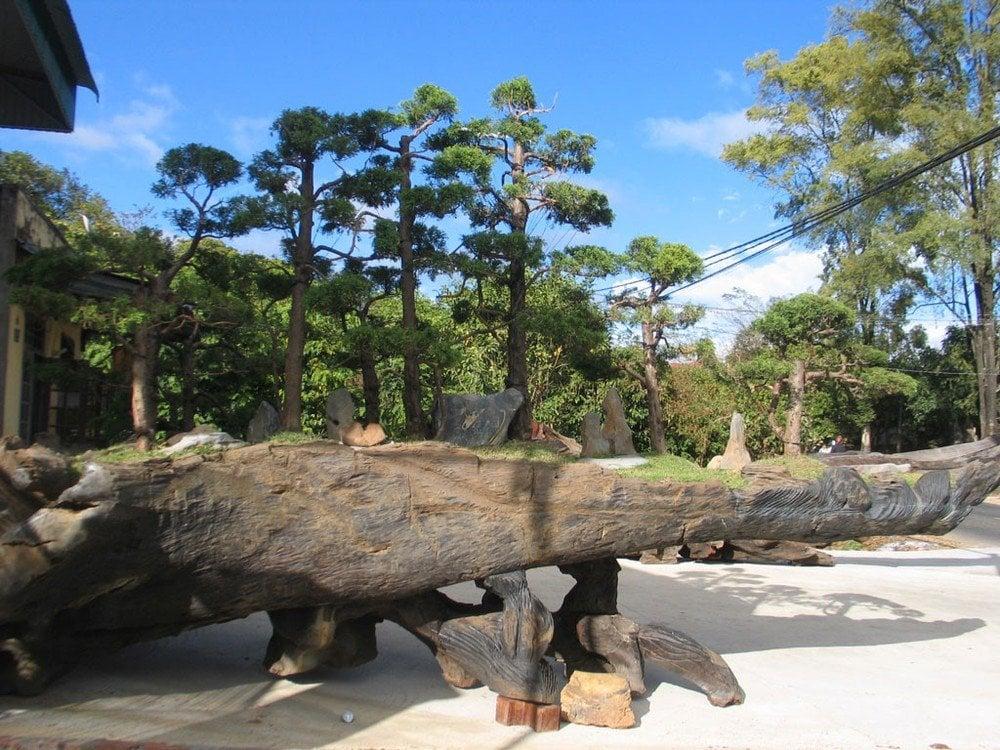 Gỗ lũa là gì? Có đắt không ?