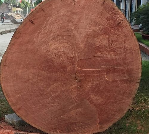 Gỗ sến thường là màu đỏ