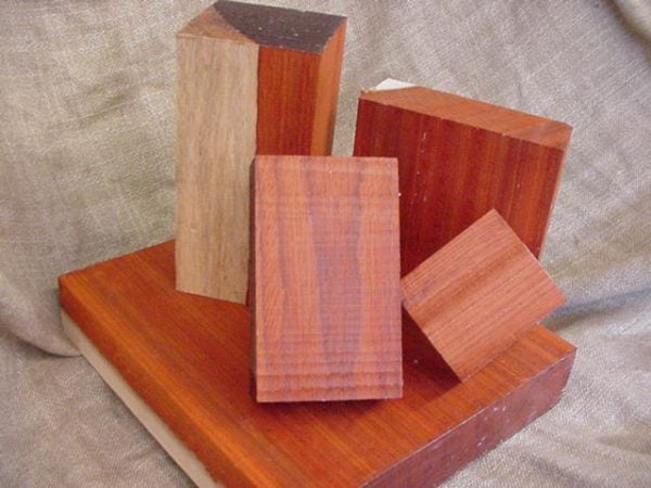 Sơn huyết chính là một trong những vị thuốc nam  quý