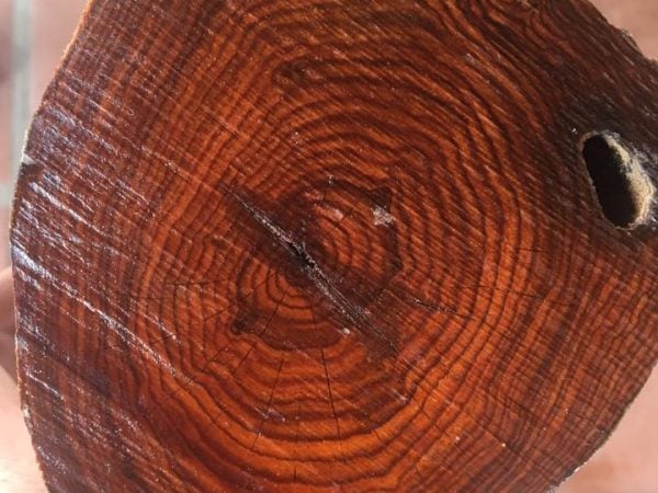 một kg gỗ sưa tốt vào khoảng 10-12 triệu