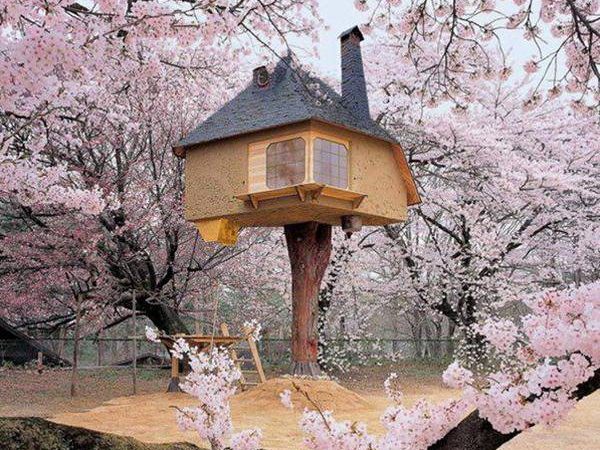 Ngôi nhà trên cây đẹp nhất trên thế giới tại Nhật Bản